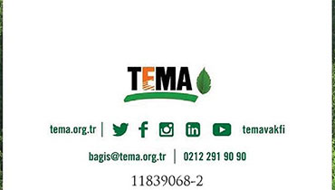 Microsoftteams Image (12)